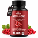 Krevní oběh Dodatek, 120 Kapsle, Podporuje Leg Vein, Srdce, Plavidla a kardiovaskulární zdraví s Niacin, L- Arginin, Ginger, Cayenne Pepper, Hawthorn, Diosmin, krevní tok pilulky