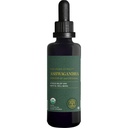 Globální léčebné centrum - Organic Ashwagandha doplňky Kapky - KSM- 66 Ashwagandha Extra síla pro muže a ženy, pomáhá podporovat pomoc od stresu, Mood Podpora, Organic (2 Fl Oz)