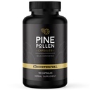 Surthrival: Pine Pollen Powder Kapsle (180 Počet), Divoká sklizeň, Energie & Endurance Obnova