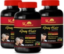 Energetické pilulky - Anti- Gray Hair Solution - pro muže a ženy - Kyselina listová, Biotin, Pantotenová kyselina, Catalse, Koňský ocas, Saw Palmetto, PABA, L-Tyrosin, Nettle, chlorofyl, Fo Ti, Barley 3B 180 Caps