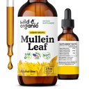Wild & Organic Mullein Drops for Lungs - Lung Detox and Cleanse - Liquid Mullein Leaf tinktura s Echinacea & Licorice Root - Vegan, Cukr & Alcohol-Free Extract Dodatek - 2 fl oz