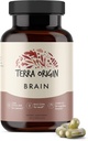 Terra Původ, Zdravý doplněk mozku, Kapsle, 30 Služební, s CDP Cholin, Ginkgo Biloba Extract, a Bacopa - pro zdravou mysl, zlepšuje paměť, paměť a funkce