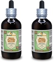 Small Flower Willow (Epilobum parviflorum) Glycerit, sušený Herb Alcohol- Free Liquid Extract (Značka: HerbalTerra, Proudly Made in USA) 2x4 fl.oz (2x120 ml)