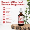 Rejuvica Active Olive Leaf Extract Curring Oleuropein Liquid Drops for Immunication & Heart Support CY124; Fast- Absorption, Vegan, Alcohol- Free CY124; 6 fl oz