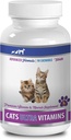 kočičí vitaminy pro odlévání - Ultra vitaminy pro kočky - Zdravé minerály a vitaminy Formule - Žvýkačky - Doplatek vápníku pro kočky - 1 lahvička (90 léků)