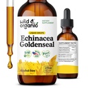 Wild & Organic Echinacea Goldenseal Liquid Drops - Immunní Supplement w / Goldenseal Echinacea Root Extract - Vegan, cukr & Alcohol- Free Tincture - 2 fl oz