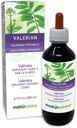 Naturalma Valerian (Valariana officinalis) Root Alcohol- Free tinktura - 6.76 fl oz Liquid Extract in Drops - Bylinný dodatek - Vegan