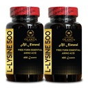 L- LYSINE 500 - L- Lysin 500mg, pro zdravou imunitní funkci, podporuje syntézu kolagenu, Soy- Free, gluten- Free, Non-GMO, Lysin dodatek podporuje zdravé rty a ústní tkáně - 2 Lahve 200 Počítá