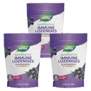 Nature 's Way Sambucus Imunity Lozenges, High Potency Vitamin C, Elderberry, Wild Cherry Flaused, 24 Lozenges (Balení května Vary) - 3 balení