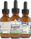 RawGuru L- methylfolát 15 mg + vitamin B12 - Organic Vegan Methylovaný B12 s stopovými minerály - Nano- Zpracovaná a vylepšená tekutá formule - 300 Servings Vegan Drops na 30 ml, balení po 1 ks