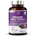 Organic Milk Thistle S124; Non GMO 2000mg 4X Koncentrované Vegan Denní dodatek w / Silymarin Seed Extract pro podporu jater, detox a čištění - 60 Veggie Kapsle