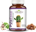 PyloEase current 124; Ayurvedic Bylinný dodatek Tradičně používán k podpoře trávicího komfortu a denní rovnováhy 124; spojené s úlevou od trávicího nepohodlí 124; 60 Veg kapsle, (Balení 1)