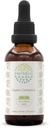 Ceylon Skořice B60 Alcohol- Free Bylinný extrakt tinktura, Koncentrované kapalné kapky přírodní skořice (Cinnamomum Verum) (2 fl oz)