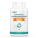 Orgabay Liposomal NAD + Příplatek 500 mg, vysoká absorpce, zvýšení NAD + s TMG 250 mg, skutečný NAD Plus účinnější než nikotinamid Riboside, podpora buněčné energie, zdravé stárnutí 124; 60 Softgels