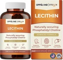 Lecithin- 240 Softgels- Podporuje zdraví mozku