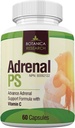 Adrenal Únava Support Dodatek s Premium Rhoddiola Rosea Herb Extract, L-Tyrosin, Panax Ginseng, Holy Basil - PS Cortisol Gland Complex pro zdravotní nedostatečnost klidnou energetickou odezvu