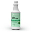 Nature 's Sunshine Liquid Chlorofyl - Podpora imunity, Detox & Cleanse, Chlorofyl Liquid Kapky s Spearmint Oil, Natural Energy Boost, Internal Deodorant - 16 Fl Oz