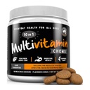Nejlepší pro zvířata Multivitamin Dog dodatek - 10 v 1 s Omega Fish Oil & Glucosamine pro lepší kloubní a kožní podporu, Gut, Digestion & Imunní každodenní zdraví (120 Žvýkací léčby)