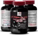 Natural Stamina Boost - TRIBULUS TERENTIIS Extract - Podpora síly a aktivity, Energetická optimalizace Formule, Plant- based Power, Body Performance Blend, Aktivní obnova, Energy Flow 1Bot 90Tabs