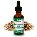 Odpověď přírody Astragalus Root Alkohol zdarma Bylinný dodatek 1 Ounce (2 Pack) 124; Imunitní podpora CLAS124; Podporuje kardiovaskulární zdraví CLAS124; Přírodní stres Reliever