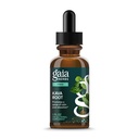 Gaia Herbs Kava Root Extra Síla - Pomáhá Sustain smysl přirozeného klidu, relaxace, * a emocionální Wellness během časů stresu - Vyrobeno s Noble Kava Cultivars - 1 Fl Oz (20- Day Supply)