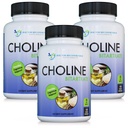 DOPORUČENÁ DOPORUČENÁ DOPRAVA Premium Choline - 500 mg - 120 Veggie Kapsle podporuje kognitivní zdraví, paměť & více - 3 balení