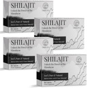30 000 MG Shilajit Tablety, 100% Shilajit Pure, Himalayan Organic, Shilajit pro muže a ženy bohaté na Fulvic Acid & 85 + Stopové minerály, Shilajit dodatek pro energetický a imunitní systém, 240 Počet