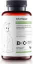 animaux - živiny pro kočky, All- Natural Cat Vitamíny, Cat Essentials to Zesilovat imunitní systém & Přírodní buněčná ochrana, Zdravá kůže & lesklý plášť, 120 Žvýkací tablety, 120 dní dodávky