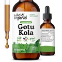 Wild & Organic Gotu Kola Herb Tincture - Brain Support - Gotu Kola Liquid Extract Drops - Vegan, Cukr & Alcohol- Free Centella Asiatica Dodatek - 2 fl oz