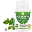 Punarnava Kapsle (Boerhaavia Diffusa) 500mg - 60 Veg Kapsle 124; Bylinný wellness doplněk pro přírodní ledviny a podporu jater 124; Plant- based Detox & Cleansing Formule 124; Balení po 1