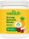 Wellah So Long Soliency BCAA Powder (Pina Colada ochucený) 30 Servings - s hydratační komplex