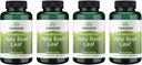 Swanson Holy Basil Leaf (Tulsi) - Podpora stresu a well- bytí dodatek - (120 Kapsle, 800mg per Serving) (4 balení)