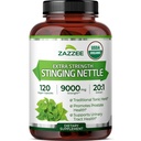 Zazzee USDA Organic StringNettle 20: 1 Extract, 9000 mg Síla, 120 Vegan Kapsle, 4 Měsíční dodávky, Koncentrované, Standardizovaný 20X Extract, Certified Organic, 100% Vegetarian, All- Natural, Non- GMO