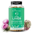 Vital Játra Cleanse Detox & Opravy - 9-in-1 Játra Supplement - Mléčné Thistle, Umělý extrakt, Kurkuma, Adaptogeny - Optimální funkce jater a stravitelné zdraví - 60 Vegetariánské měkké kapsle