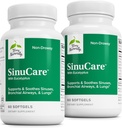 Terry Přirozeně SinuCare - Bronchial Wellness Supplement - Zdravá sinusová pomoc - Dietní dodatek pro podporu zdravé plíce - 60 Softgels (2 Pack)