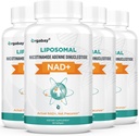Orgabay Liposomal NAD + Příplatek 500 mg, vysoká absorpce, zvýšení NAD + s TMG 250 mg, skutečný NAD Plus účinnější než nikotinamid Riboside, podpora buněčné energie, zdravé stárnutí 124; 240 Softgels