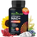 NAD + dodatek - 500mg čisté NAD plus pro energii, Focus, Skin & Anti- Aging Support - Gluten Free Non- GMO NAD doplňky pro ženy a muže (60 Počet (balení po 1), NAD + Resveratrol)