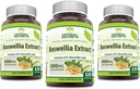 Bylinné tajemství Boswellia Serrata Extract (65% boswellic Acids) 600 mg Kapsle dodatek 124; Non- GMO CLAS124; gluten zdarma (120 CLAS124; 3 Pack)
