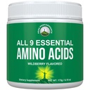 Všech 9 esenciálních aminokyselin. Pre + během + po cvičení s EAA + BCAA pro energii, růst svalů a obnovu. Non-GMO BCAA a EAA Powders for Men + Women. Ostružiny ostružiníku ježiníku