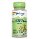 SOLARAY Bladderwrack Kapsle 580 mg - Nutrient- Packed Seaweed Supplement, High in jód - Balanced Herbal Support - Vegan, Non- GMO, 60- denní záruka, Laboratorní ověřené - 100 Služeb, 100 VegCaps
