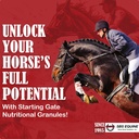 SBS Equine Starting Gate Granules - Koňský žaludek Ulcer Léčba & Ulcer Relief, Koňský dodatek Formule Scoop pro krmení, Perfektní příprava jako Hoof dodatek (5 Gallon)