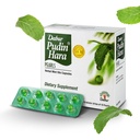 Dabur Pudin Hara Pearls - Denní stravovací péče doplňky pro muže a ženy, Pomáhá Abate Symptomy nadýmání, kyselost, Flatulence a požití pro stravitelné a Gut zdraví, 100 počet (balení 10)