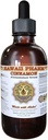 HawaiiPharm Skořice kapalný extrakt, Skořice (Cinnamomum Verum) Bark prášek tinktura dodatek 4 oz