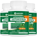 Lipozomální artemisinin dodatek 1000mg, Sweet Wormwood Extract s 200mg Quercetin Phytosom, Maximální absorpce pro antioxidant 180 Kapsle
