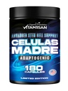 VITAMISAN Celulas Madres 180 Kapsle - kmenová buňka Blue Green Algae - Non GMO -Gluten Free AFA -Celula Madre dodatek - Lví hříva Beta Glucan podporuje zdravé stárnutí a podporuje imunitní spirulina.