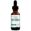 Schválený vědecký tekutý chlorofyl - 2 fl. Oz. - 60 mg ChloroAbsorb - Mulberry Leaf Extract - Energize Tělo - Stravovací a imunitní podpora - Přírodní deodorant a detox - Vegan - Made in USA