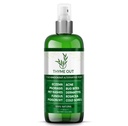 Všechna přírodní léčba ekzém - Psoriáza Léčba - All- in- One Solution for Acne, Dermatitis, Rosacea, Cold Sores, Bites, Poison Ivy - Anti- Itch Spray for Itchy Skin Relief 4oz