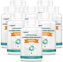 Orgabay Liposomal NAD + Doplněk 500 mg, vysoká absorpce, zvýšení NAD + s TMG 250 mg, skutečný NAD Plus účinnější než nikotinamid Riboside, podpora celulární energie, zdravé stárnutí 124; 480