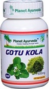 Planeta Ayurveda Gotu Kola, 500 mg Veg Capsules- Single Bottle