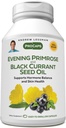 ANDREW LESSMAN Večerní Primrose a Black Currant Seed Oil 360 Softgels - Zklidňuje fyzické nepohodlí a mood swings Vzhledem k menstruační cyklus, s gama- linolenium, Omega-6 mastné kyseliny, žádné přísady